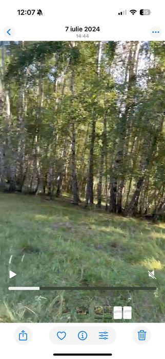 Pășune împădurită