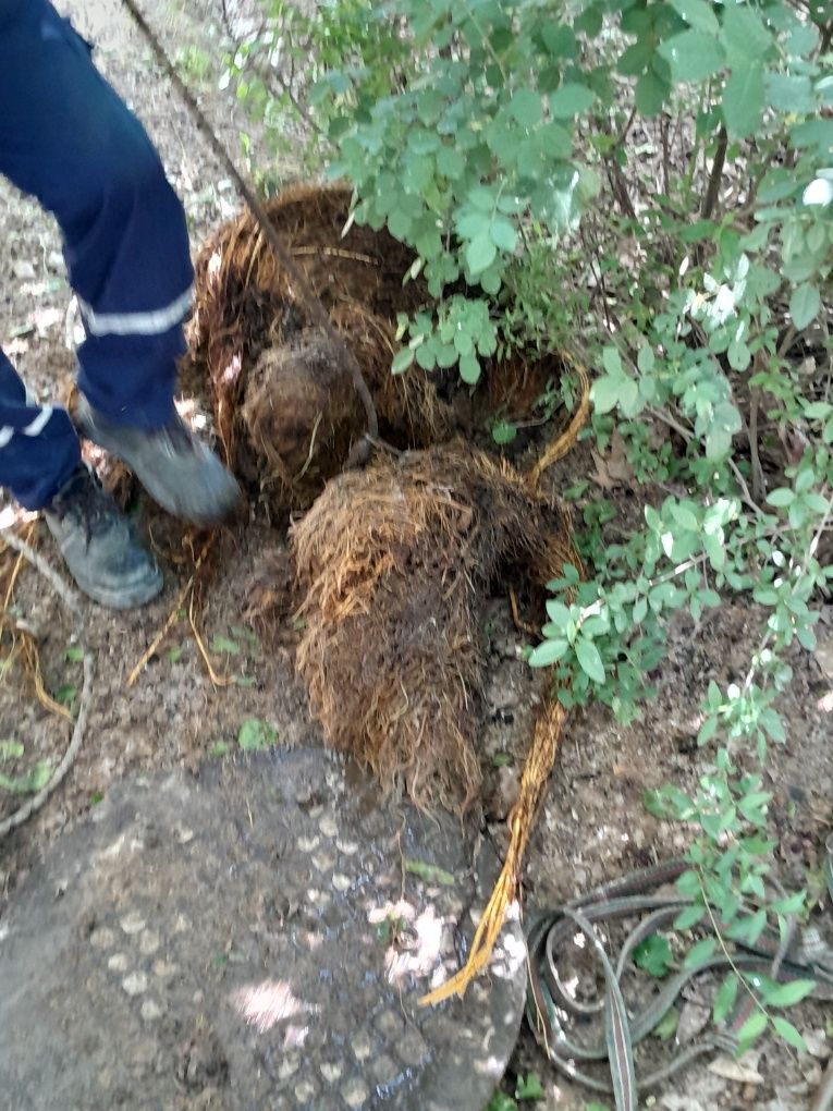 Konalizatsiya tozalsh xizmati
Tez va sifatli
Услуга чистки конлонизаци