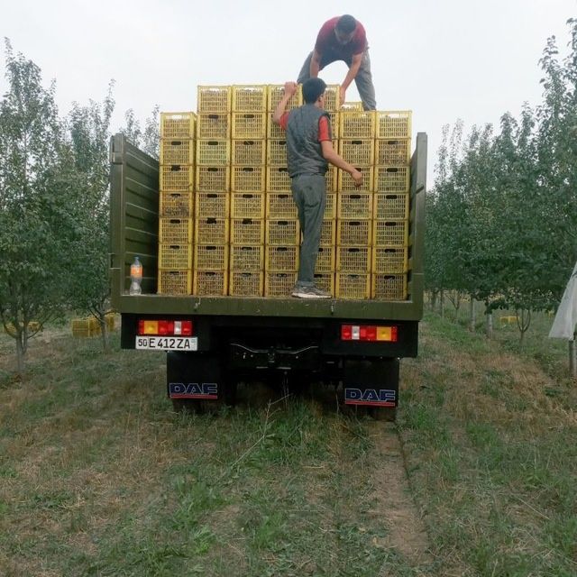 Zil 31 Ural mator narhi 16500$