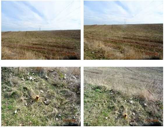 Teren intravilan 8757 mp Pielesti - deschidere 72m la strada asfaltata