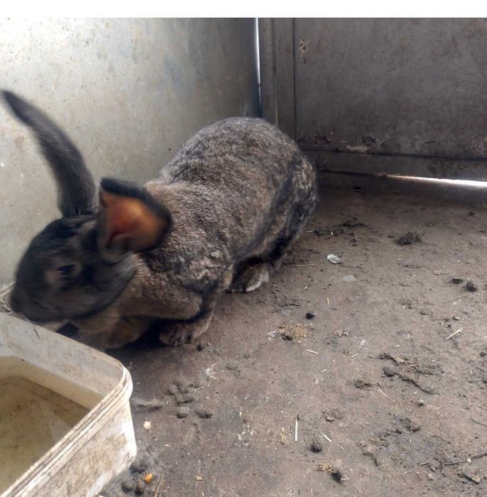 Женска на 10 месеца