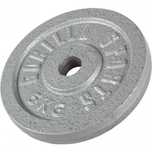 Disc din fontă 30/31 mm 5 KG Argintiu Gorilla Sports