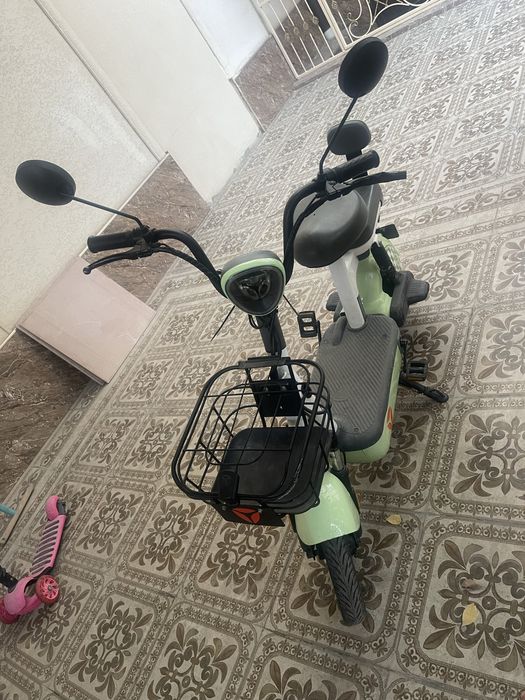 Elektra squter sotiladi