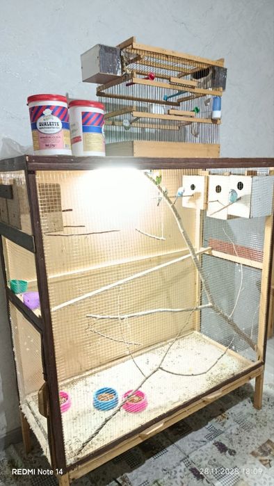 Qushlar tayyor uyi bilan sotiladi.