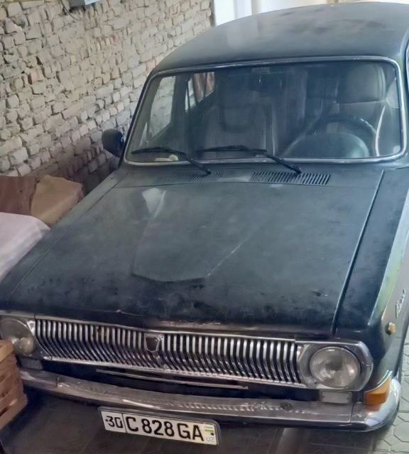 Volga qora urta holati, Samarqandda