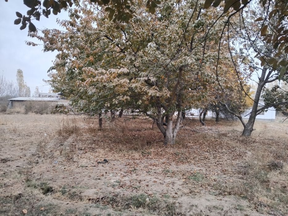 Срочно ер сотилади !