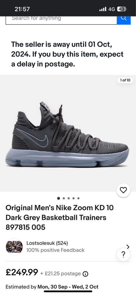 Nike Zoom KD gri