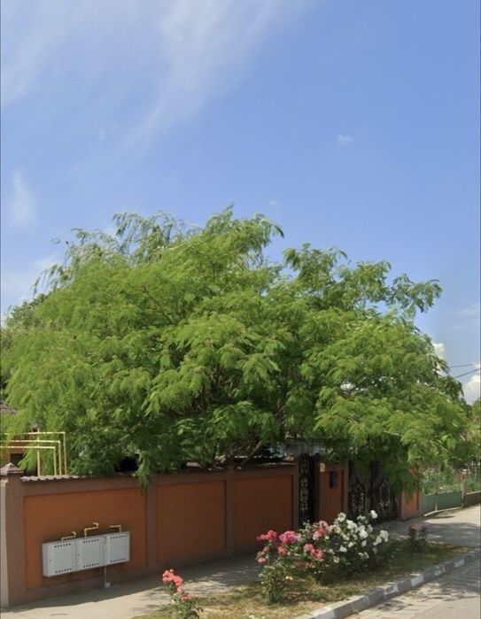 Vând Casă in Amara,strada băilor nr 120, Toate Utilitatile