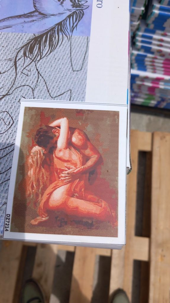 Pictura pe Numere