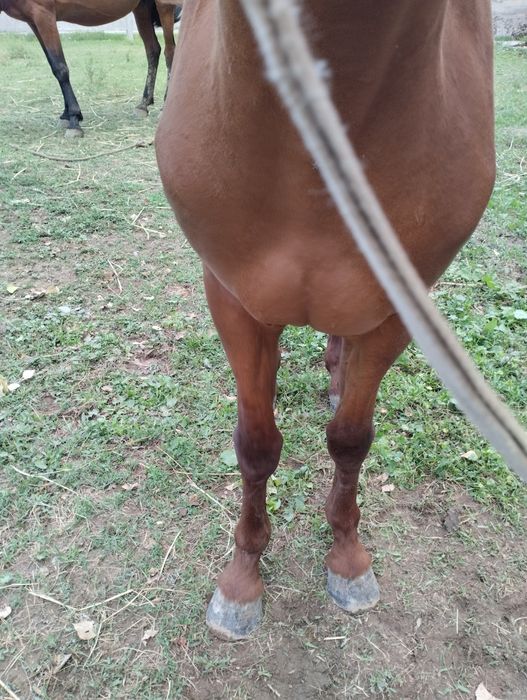 750мын тенге саудасы бар