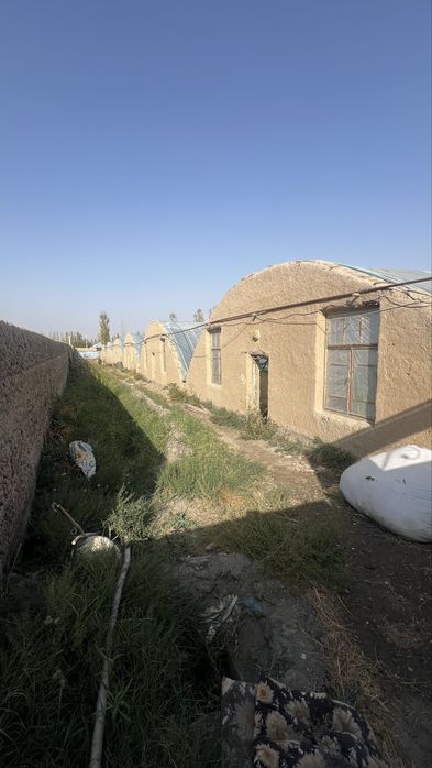 Teplitsa Sotiladi 32 sotix teplitsa jami hudud 46 sotix