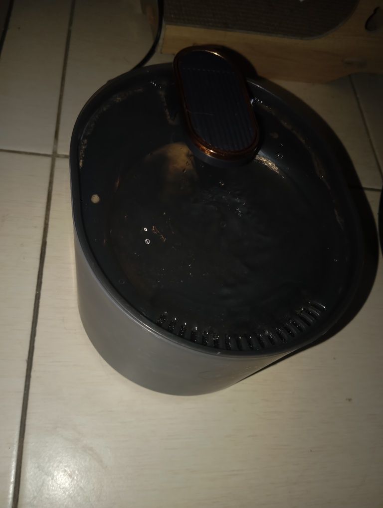 Fanta apa pisici