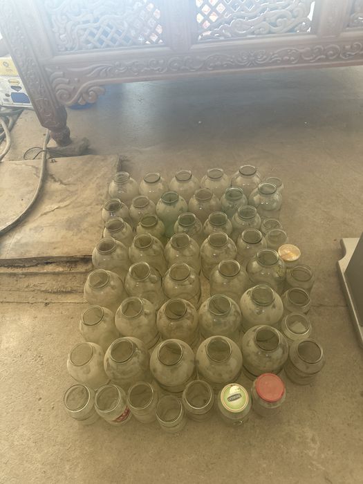 Отдадим бесплатн