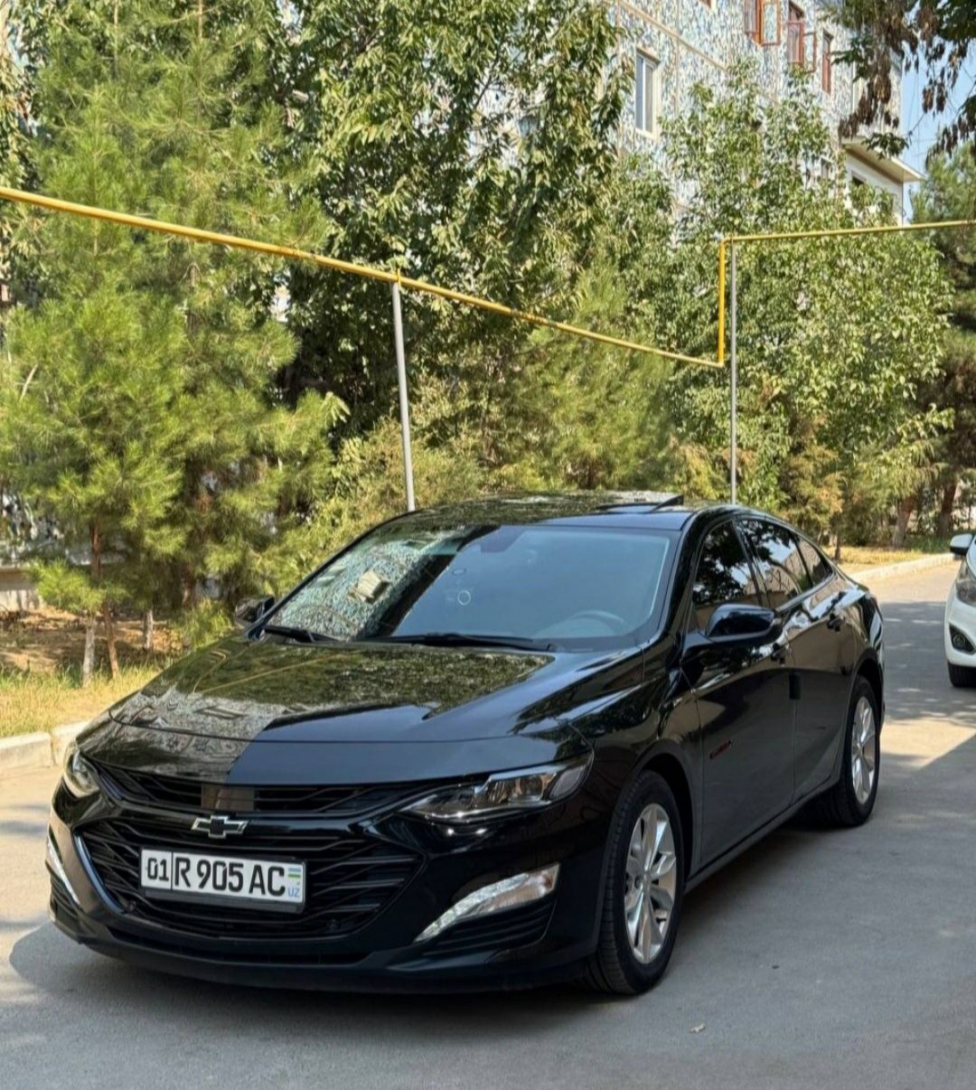 Малибу XL. 2023. Краска тоза.