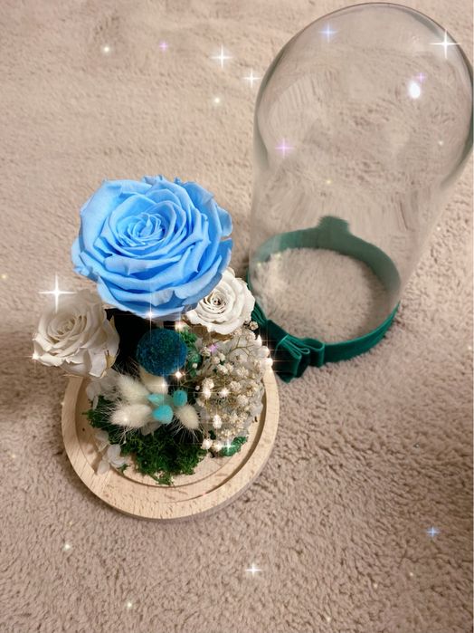 Cupole  / Trandafiri criogenati / Flori