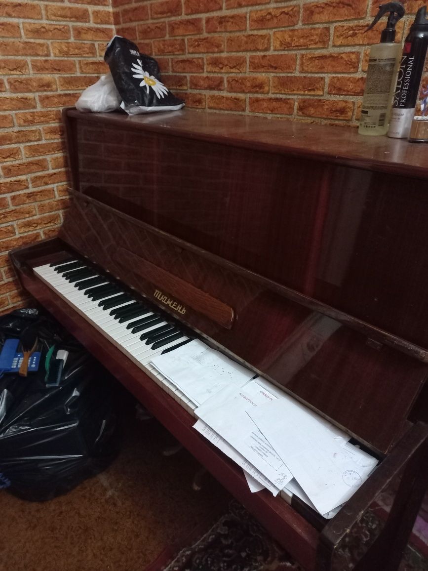 Pianina tumen sr