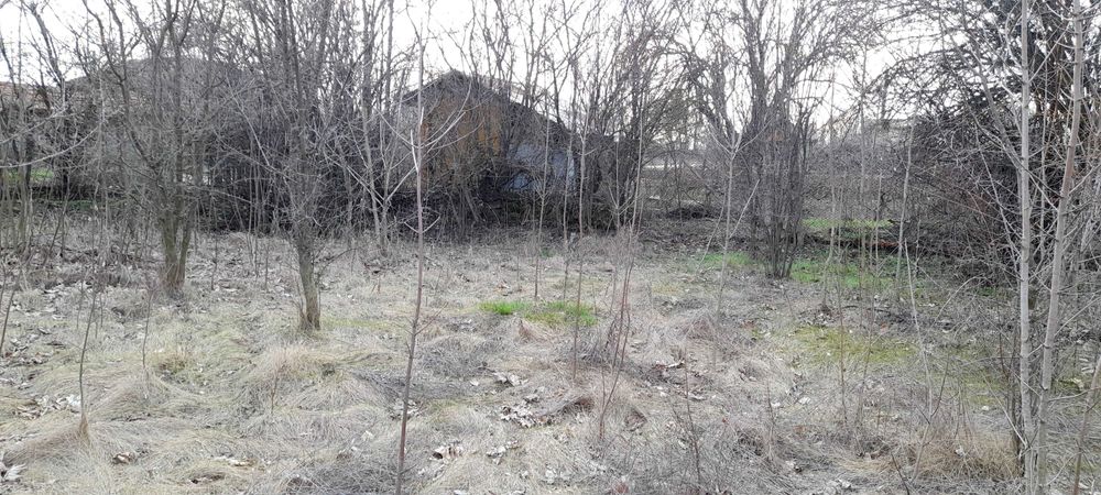 Продава се Къща в с. Пчеларово, Област Добрич - 90 кв.м за 62 €/кв.м - Снимка #6