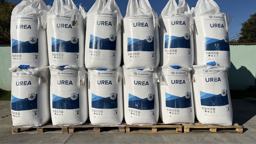 Oferta seminte porumb si floare