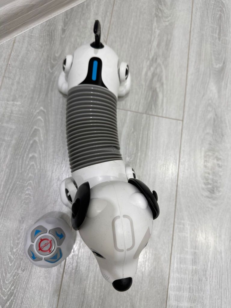 Куче робот - robo dackel r