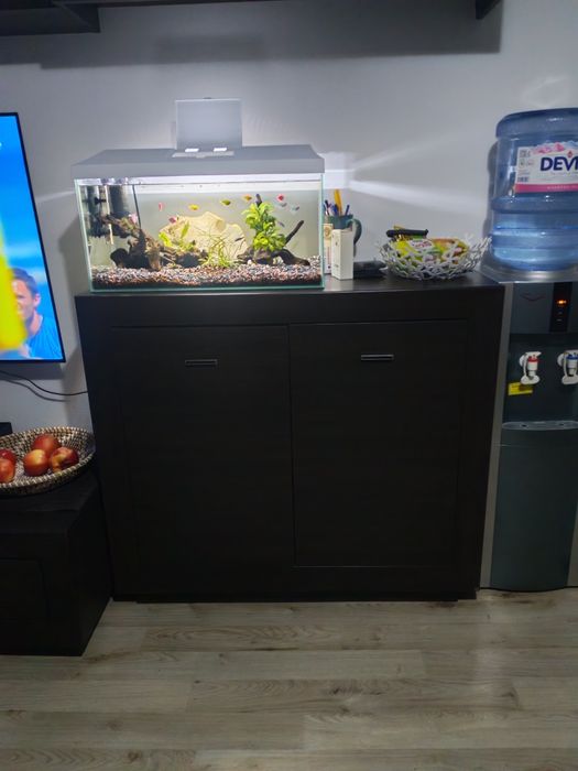 Холова секция   .