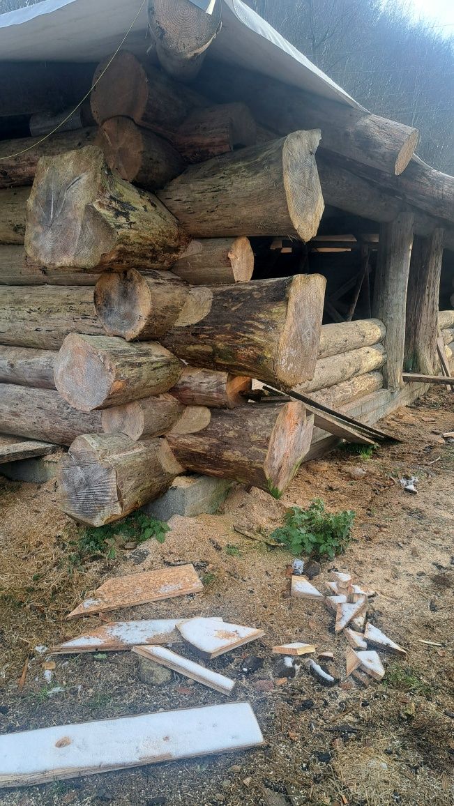 Cabane Foisore lemn rotund