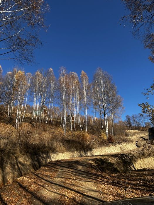 Casa / A frame  - cabana