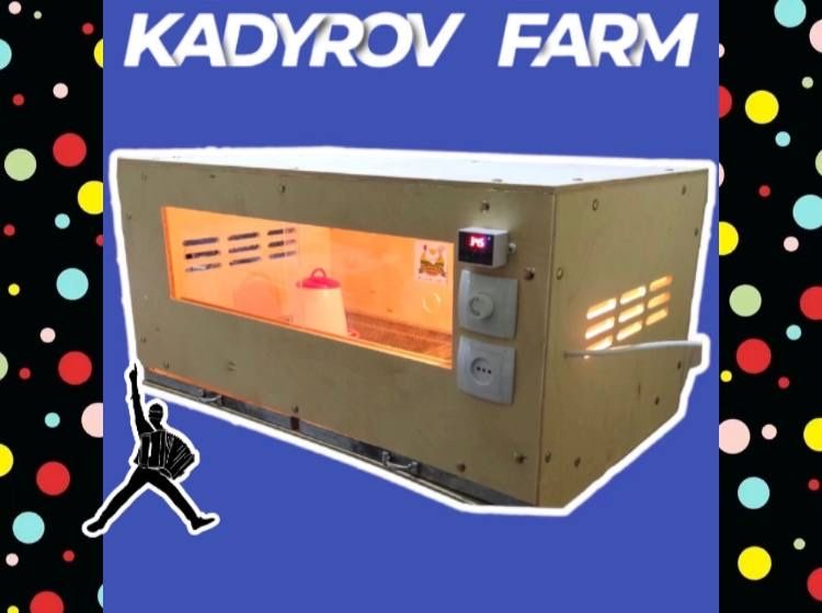 Тёплый дом для птенцов — брудер с длительной службой