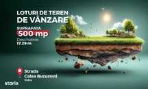 Lot de teren intravilan de vanzare, 500 mp, ideal investitie, Vidra