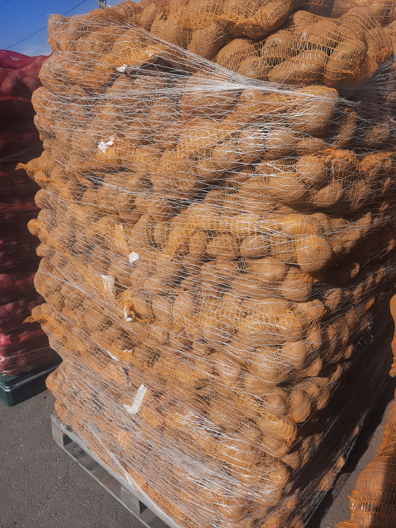 Cartofi import cal 1 sac 25kg și 10kg