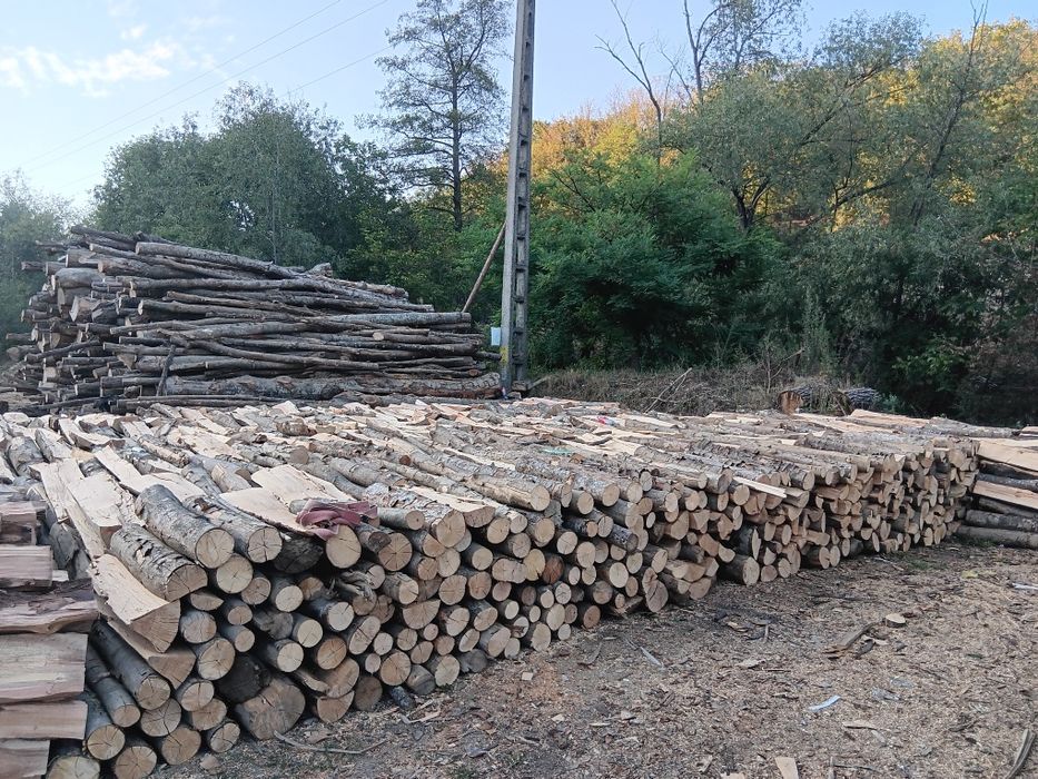 Lemn de foc esență tare fag, stejar și salcâm