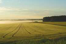 Vand  ferma vegetala 250 ha