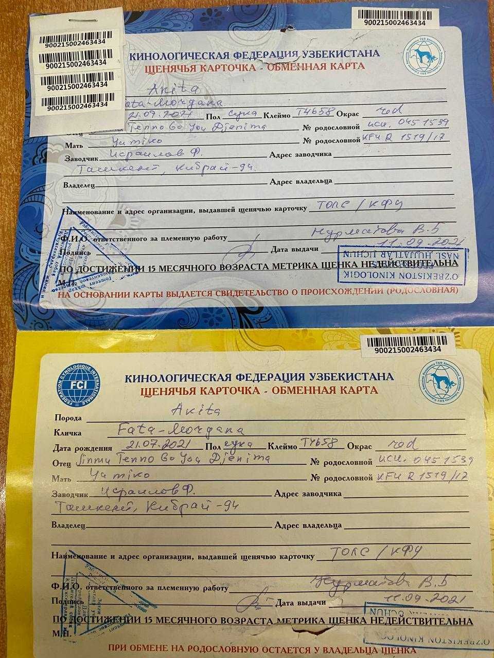 Акита ину продаю срочно девочка