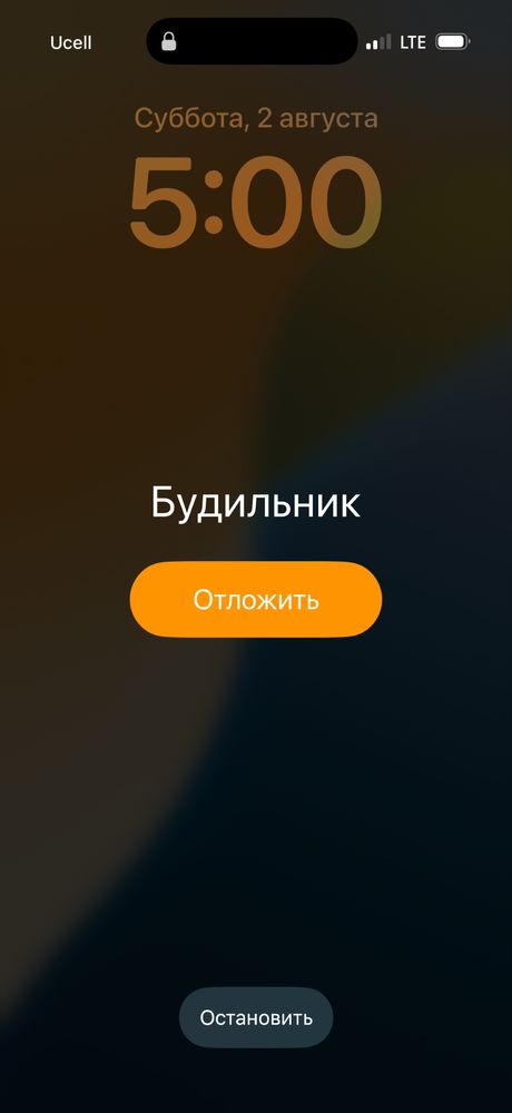 Vizitka Flayer chiqazamiz Srochna