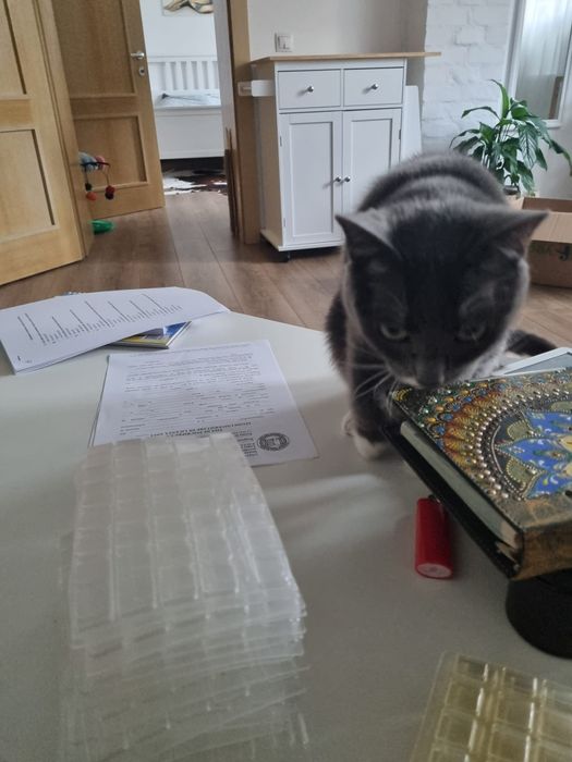 Husa de casa de marcat