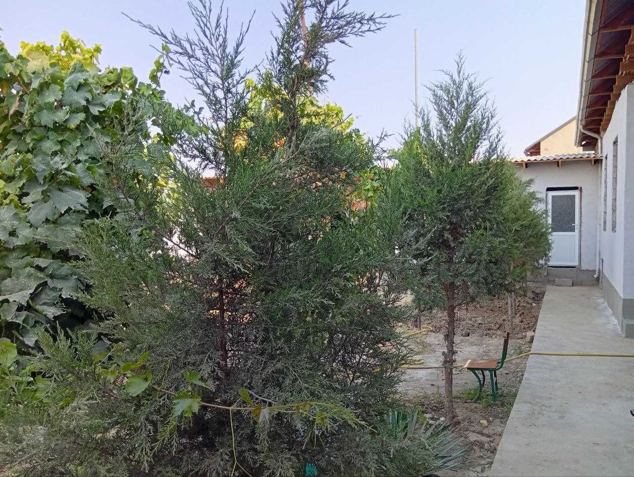 Termiz tumani Yangi o'zbekiston massivida Hovli sotiladi.