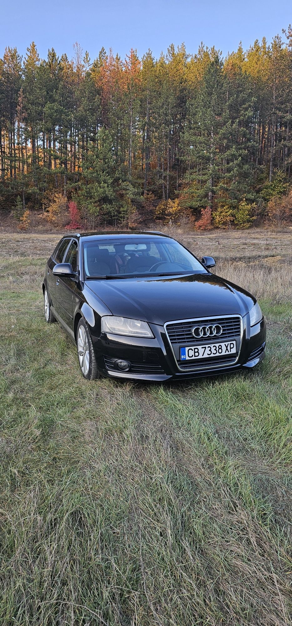 Audi A3 1.8 T FTSI 8P
