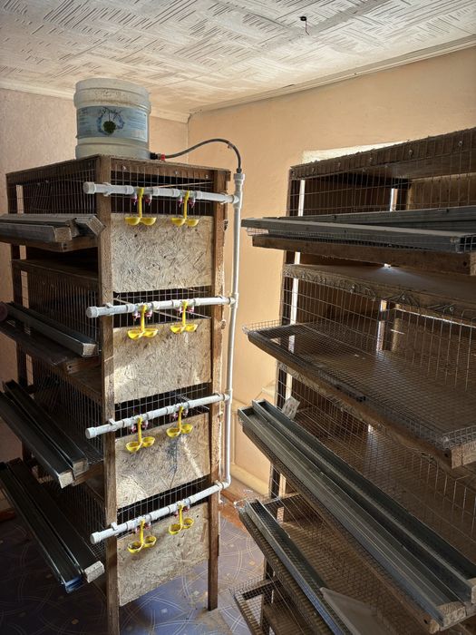 Клетки для перепелов