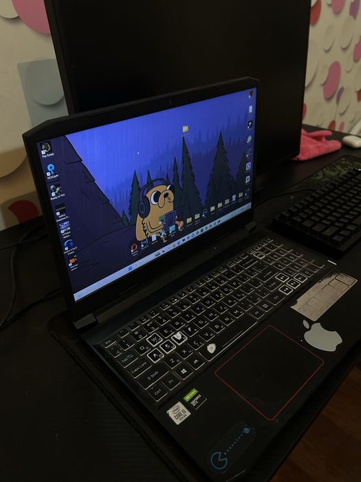 Игровой ноутбук Acer 1660ti