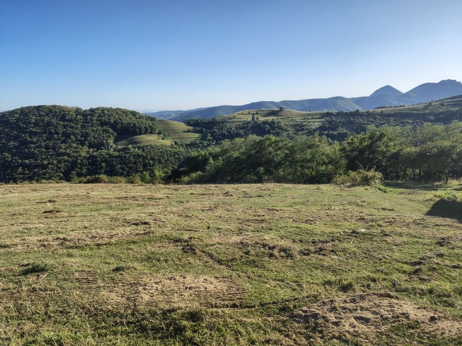 Teren extravilan și intravilan,Ramet,Transapuseana