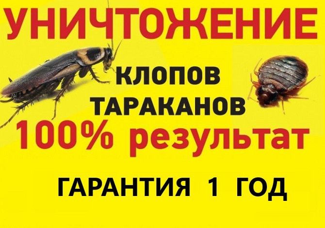 Дезинфекция Алматы 6000 тг.Вторая оброботка бесплатно.