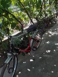 Vând bicicletă în stare buna