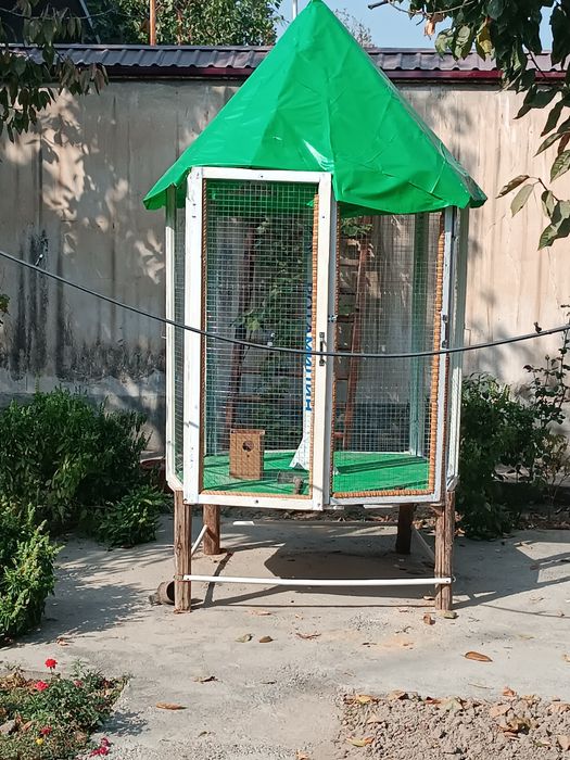 Куш хона , Тути, каптарлар бокиш учун