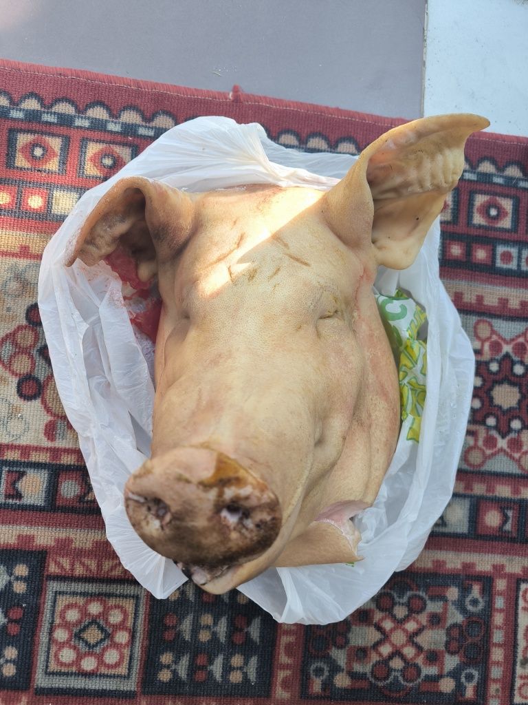 Продам свиную голову
