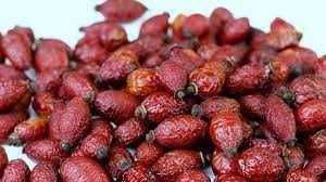 Macese uscate natural la soare din zone nepoluate,40 lei/kg