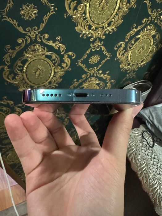 iPhone 13 pro LL/A