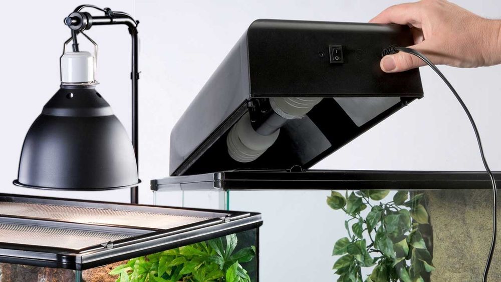 Vând terariu exo terra