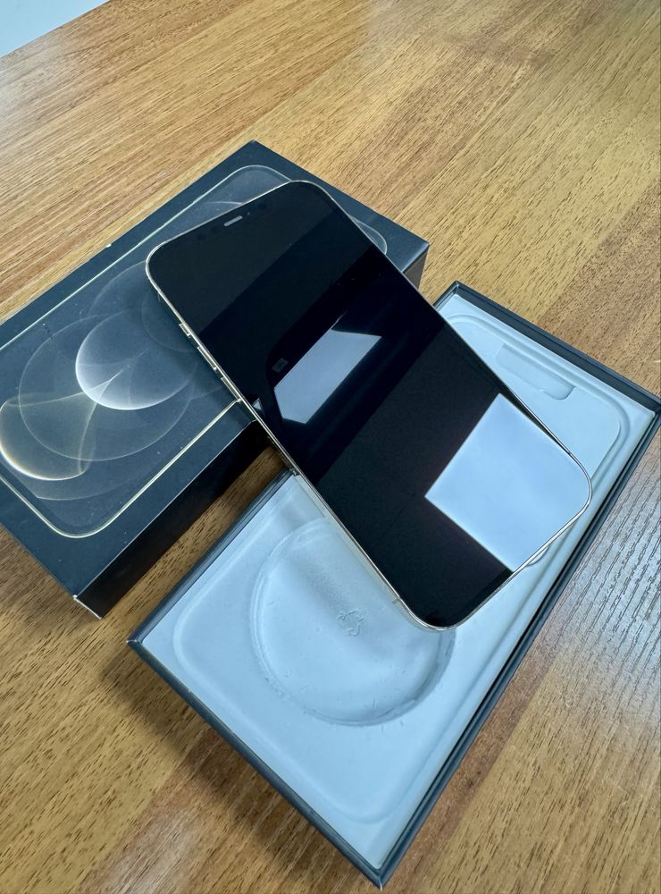 iphone 12 pro max 256