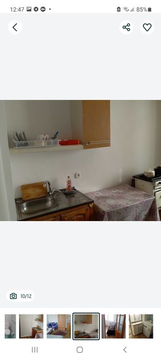 Сампи,Культуры инсит.Студентке .1/4/4