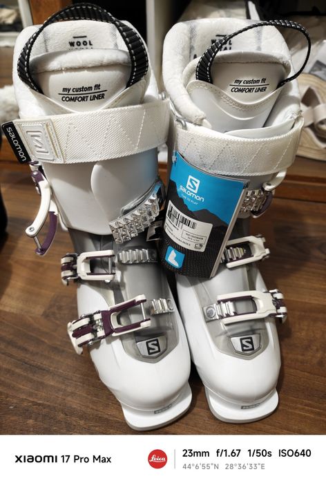 Clapari Salomon Dama