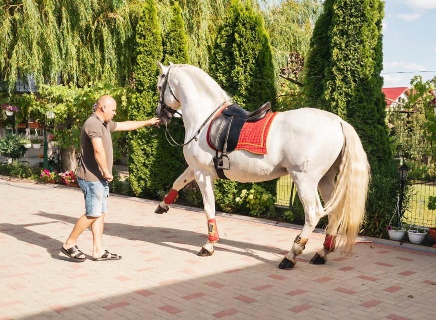 Vand Armasar Andaluz